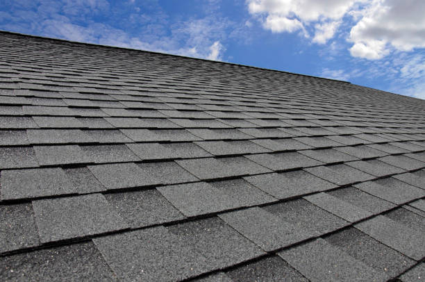 Best Sheet Metal Roofing  in Deer Park, TX